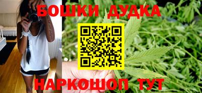 эйфоретик Новокубанск