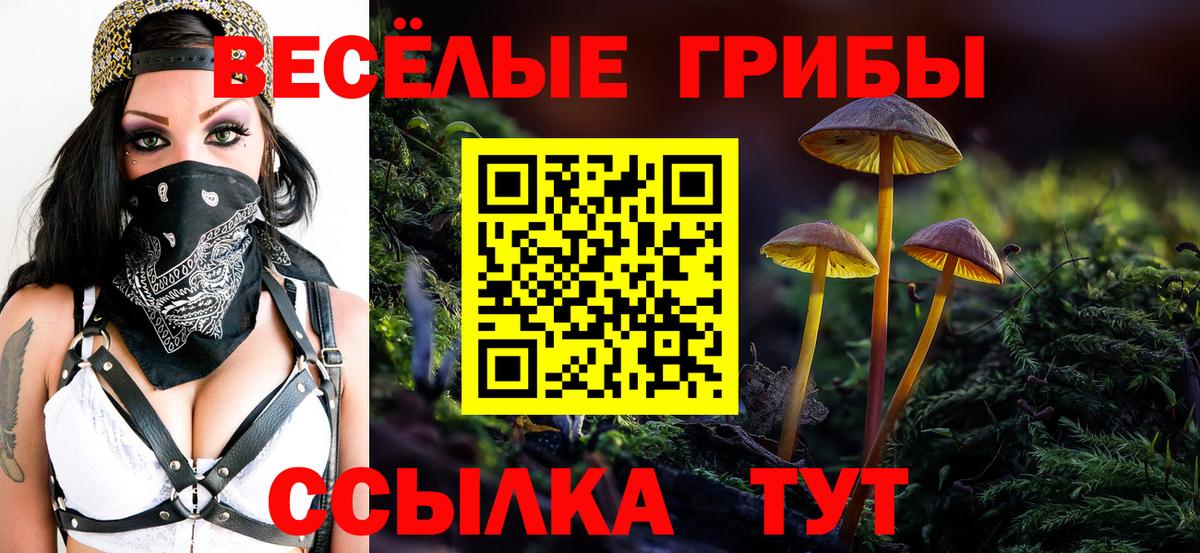 Галлюциногенные грибы Cubensis Соль-Илецк