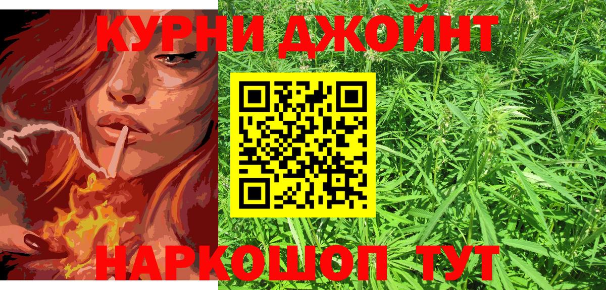 Марихуана планчик  Марихуана сатива  Вход с VPN  Бошки Шишки конопля  Соль-Илецк 